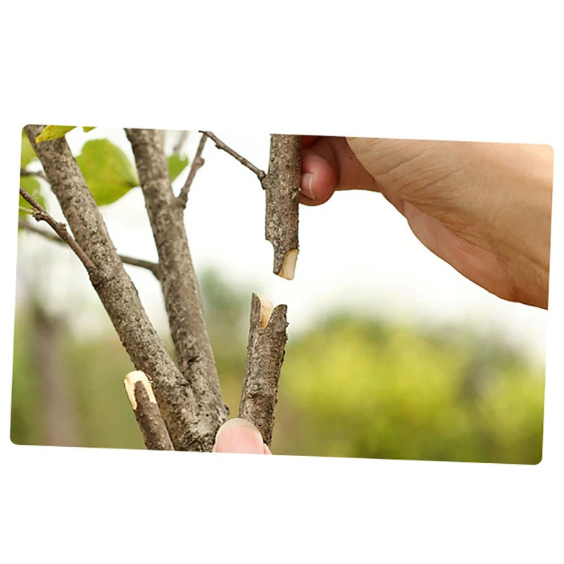 Professional Garden Grafting Tool
